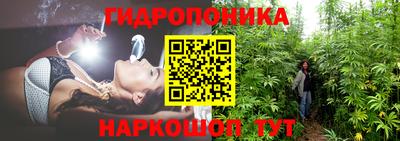 сатива Малоярославец