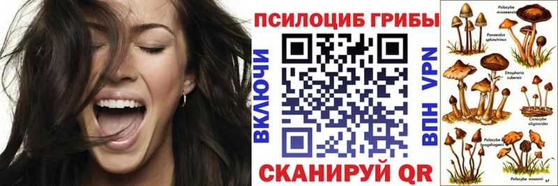 Галлюциногенные грибы Cubensis  что такое   Дербент 