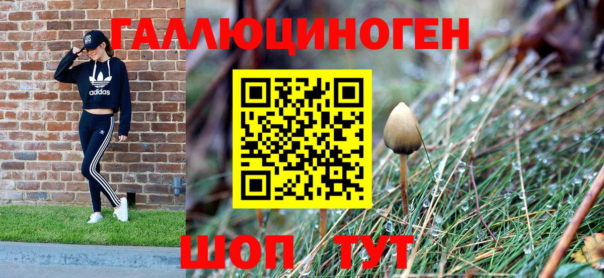 Дербент  Псилоцибиновые грибы GOLDEN TEACHER  Вход с VPN 